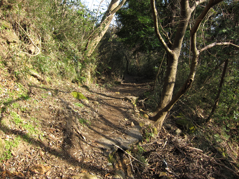 20200122hike (222)